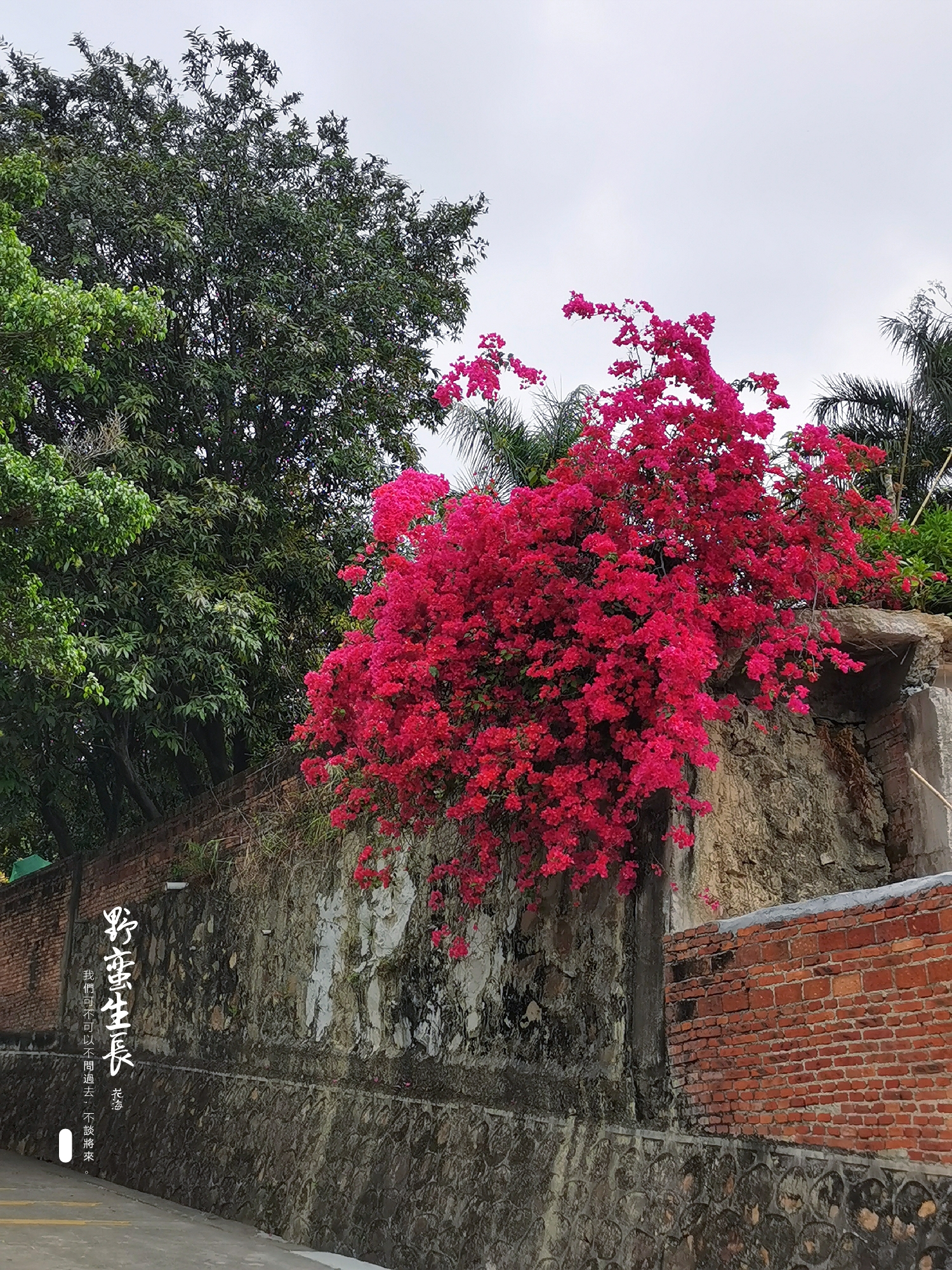 68ec4ea7f8cae0f7aa57d8a6e7ea54c8.jpg 68ec4ea7f8cae0f7aa57d8a6e7ea54c8.jpg